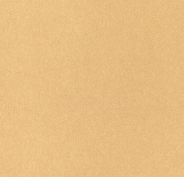 Обои Bernardo Bartalucci Legend 5068-61