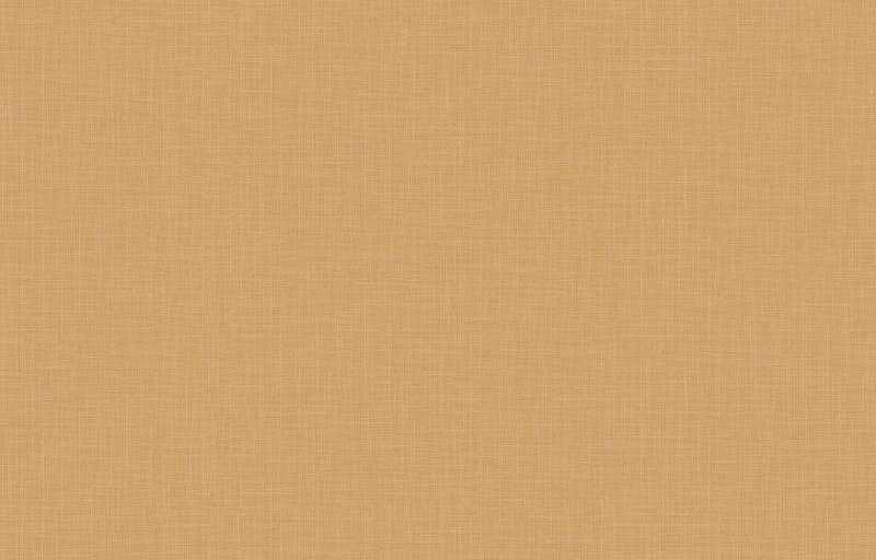 Loymina Origins ALS11 004