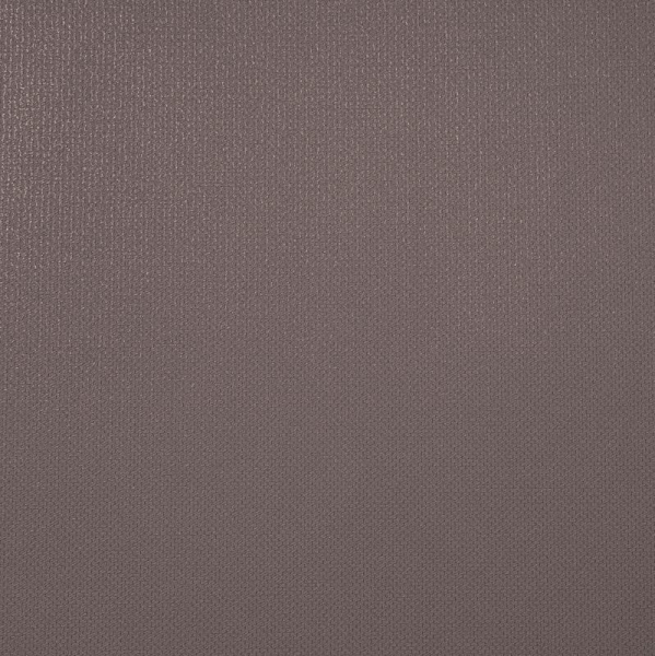 Alessandro Allori Rebecca 15001-6