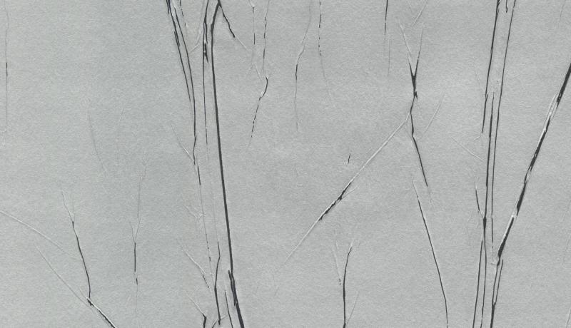 Marburg Crush Motion 63425