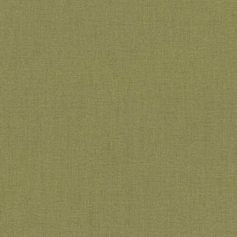 Rasch Excellent RH 484755