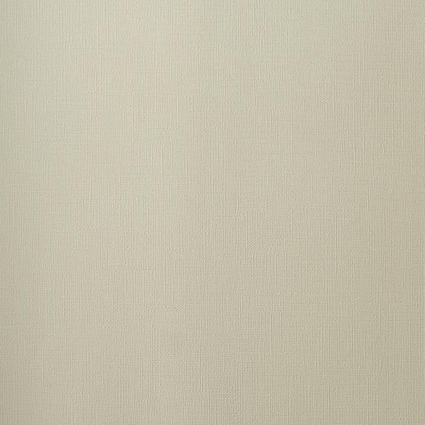 Andrea Rossi Palmaria 54461-4