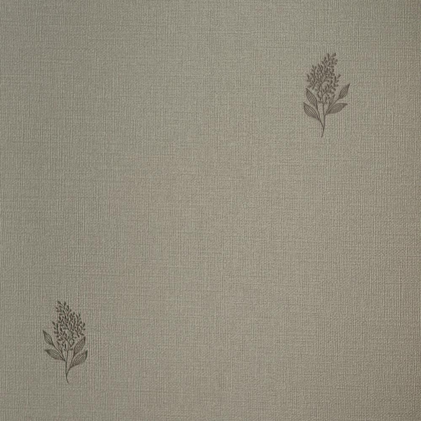 Andrea Rossi Palmaria 54462-8