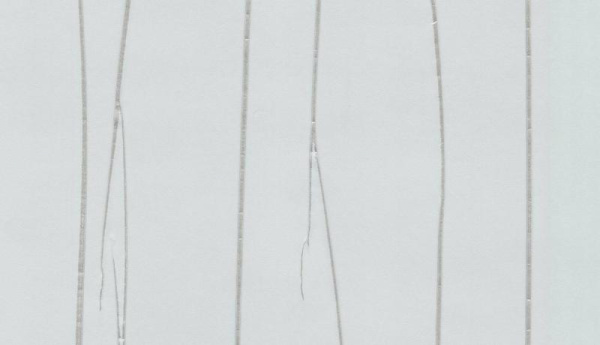 Marburg Crush Motion 63407