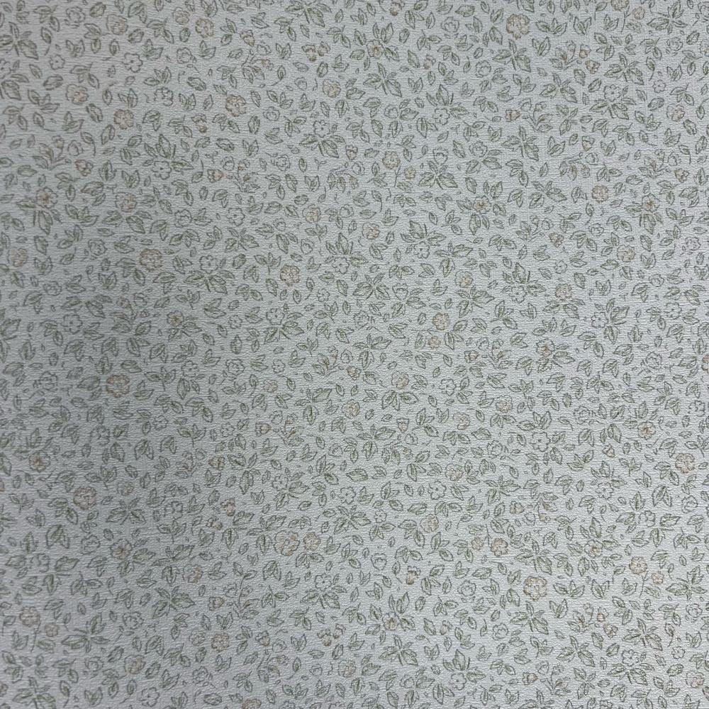 Andrea Rossi Stromboli 54340-1