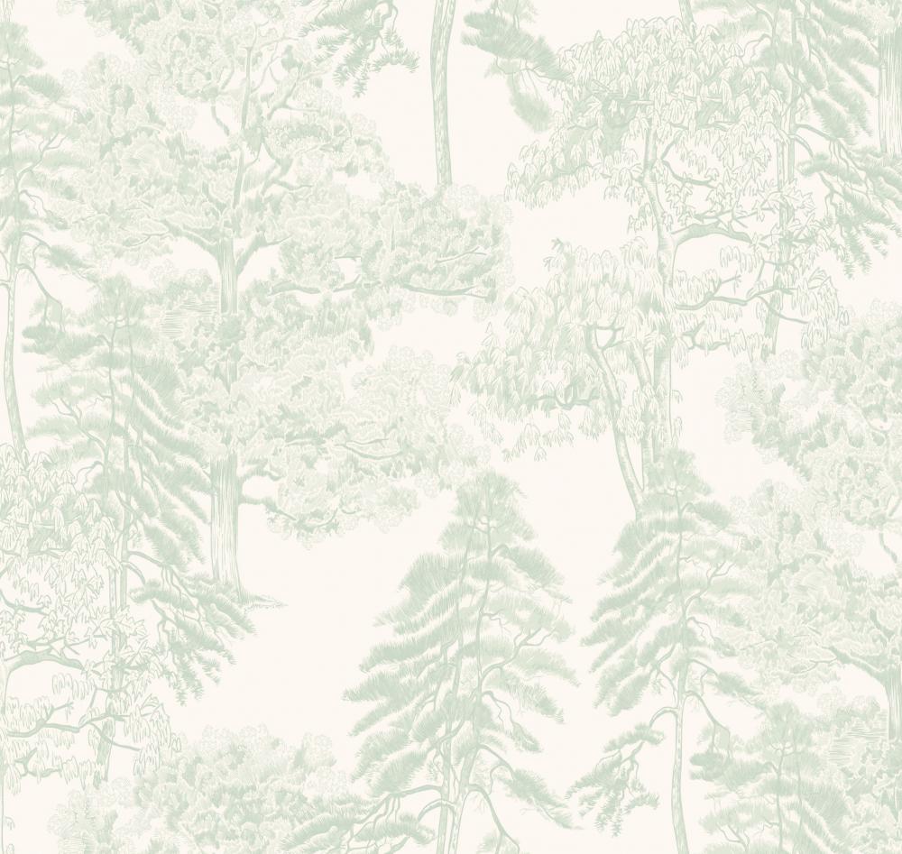 Milassa Ambient AM5 008/1