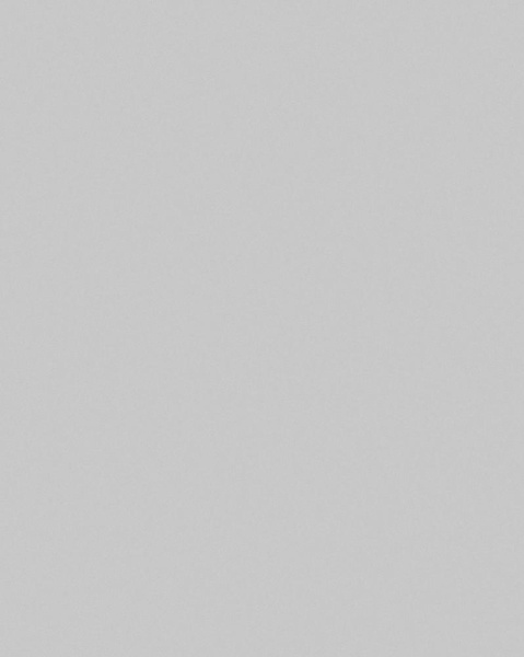 Wiganford All Time Trend Art WG 0230