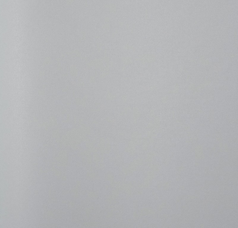 Alessandro Allori Rebecca 15003-10