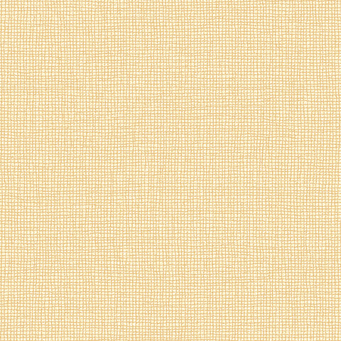 Andrea Rossi Barbana 54294-4