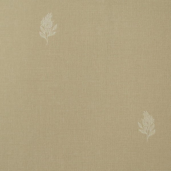 Andrea Rossi Palmaria 54462-5