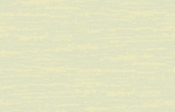 Loymina Amazonia Ins8 005