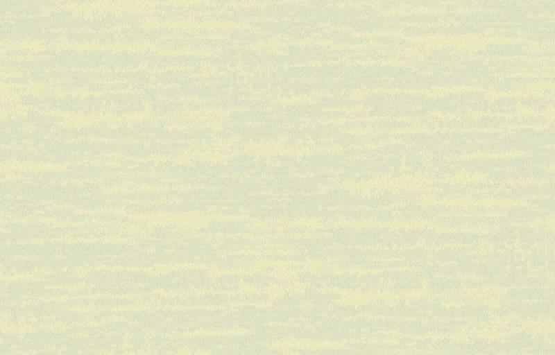 Loymina Amazonia Ins8 005