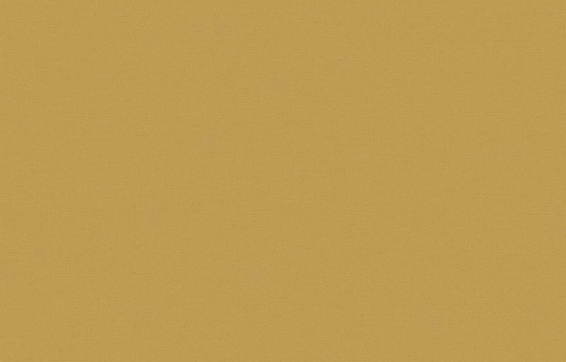 Loymina Equator QTR8 004_3