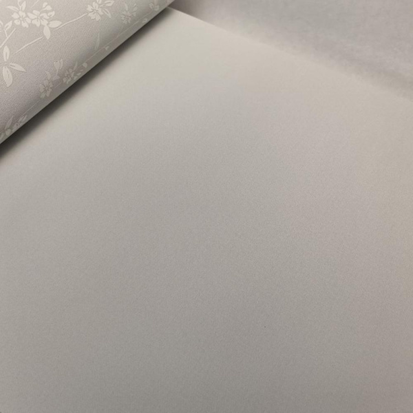 Andrea Rossi Berggi 54450-4