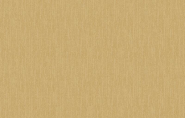 Loymina Shade SD2 004