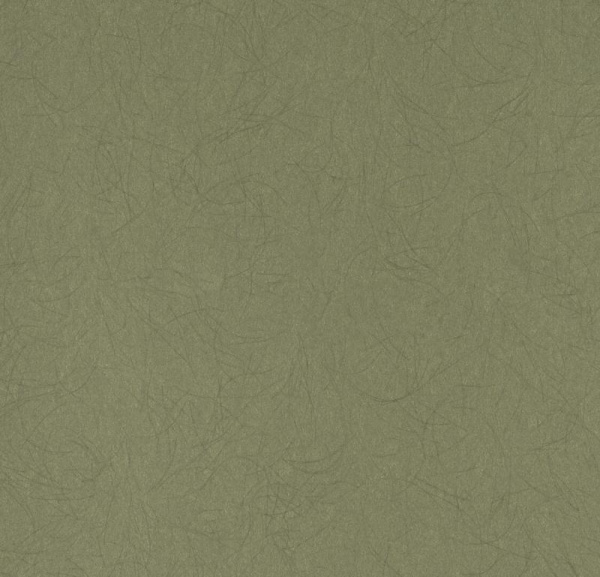 Обои Bernardo Bartalucci Legend 5068-49