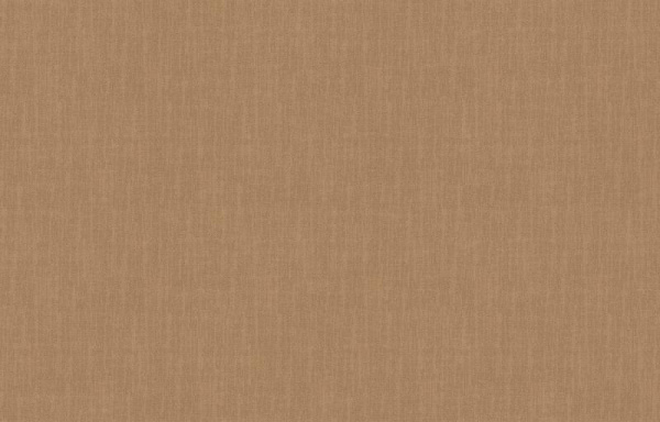 Loymina Shade SD2 004_2