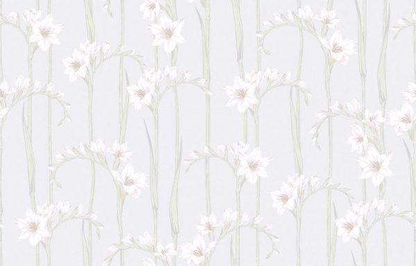 Loymina Origins ALS2 001