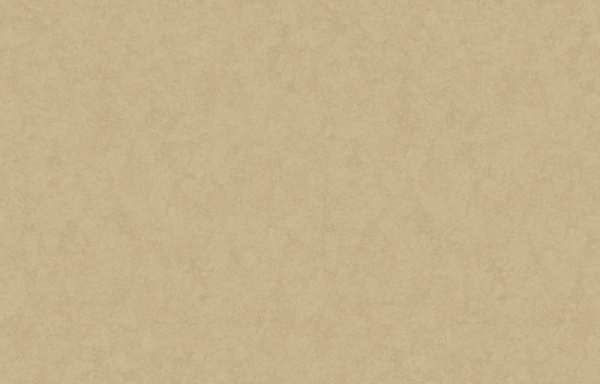 Loymina Shade SD3 002_3