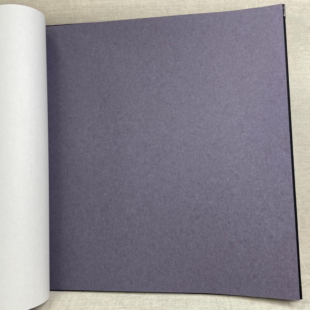 Обои Bernardo Bartalucci Bigi Plus 5094-9