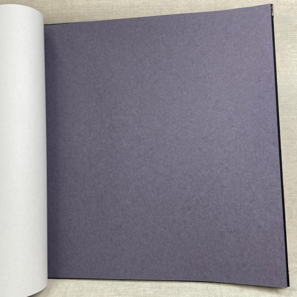 Обои Bernardo Bartalucci Bigi Plus 5094-9