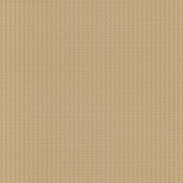 Zambaiti Parati Lamborghini Z 12835