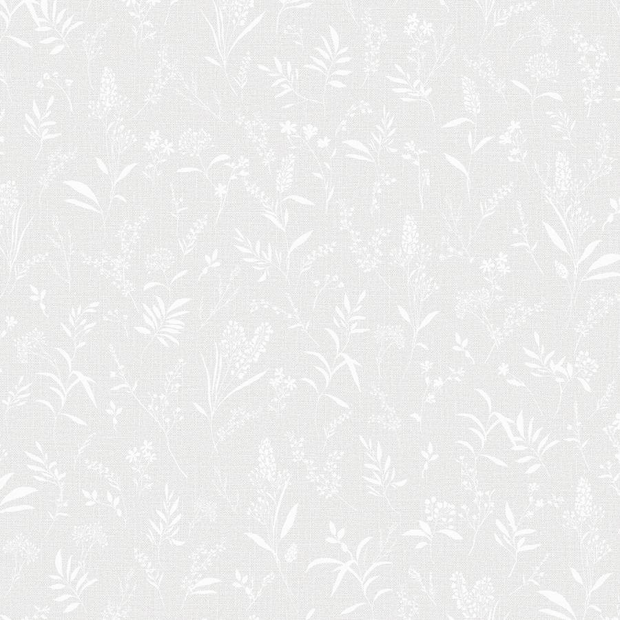 Andrea Rossi Spectrum Just 54474-2