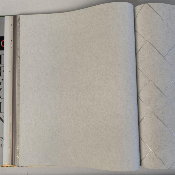 Andrea Rossi Cavolli 54422-1