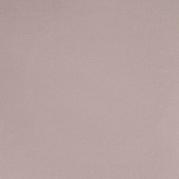 Alessandro Allori Rebecca 15007-11