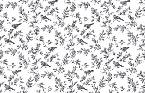 Milassa Neo Classic Neo8 001