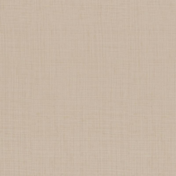 Zambaiti Parati Philipp Plein Z 80054