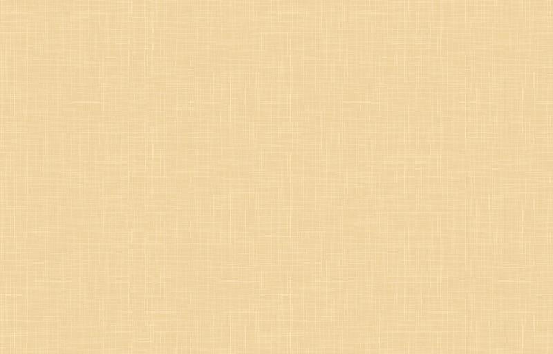 Loymina Origins ALS11 002_1