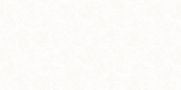 A. Grifoni Palazzo Ragione 7025-2