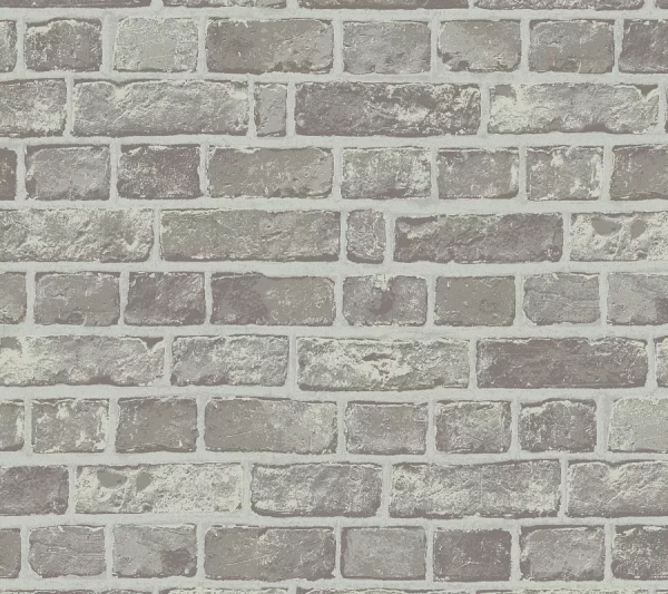 Loymina Terra TER4 005