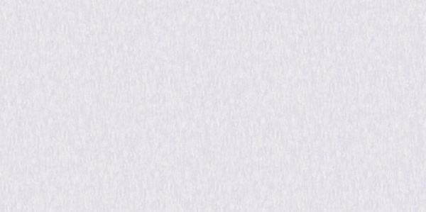 A. Grifoni Palazzo Ragione 7026-3