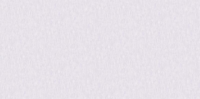 A. Grifoni Palazzo Ragione 7026-3