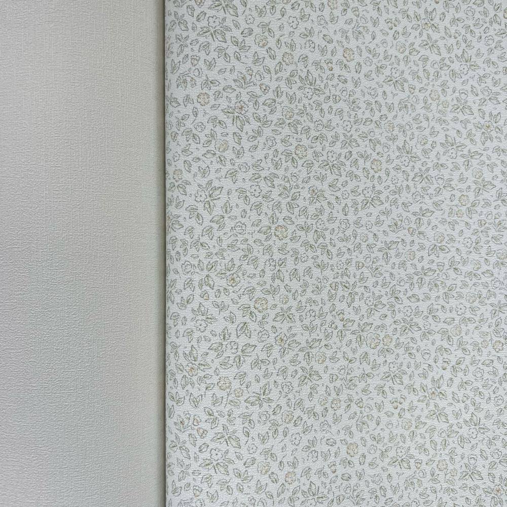 Andrea Rossi Stromboli 54340-1