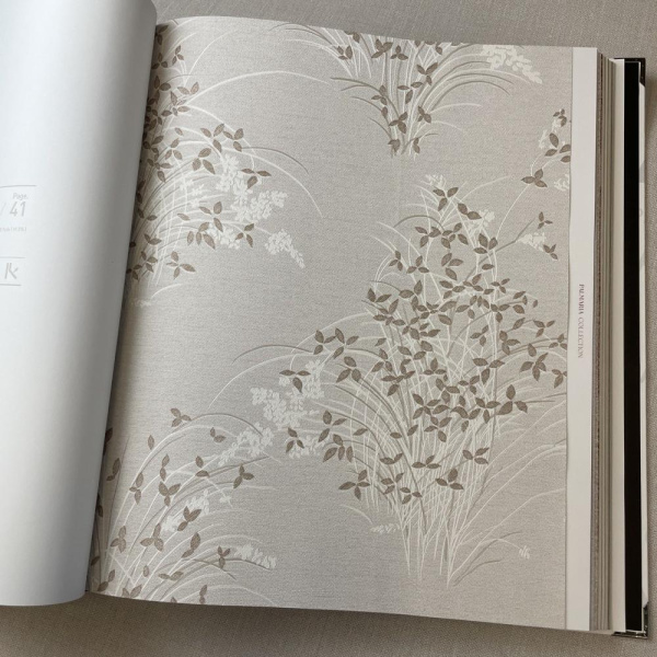 Andrea Rossi Palmaria 54468-4