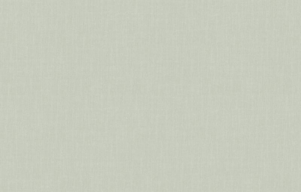 Loymina Shade SD2 005_1