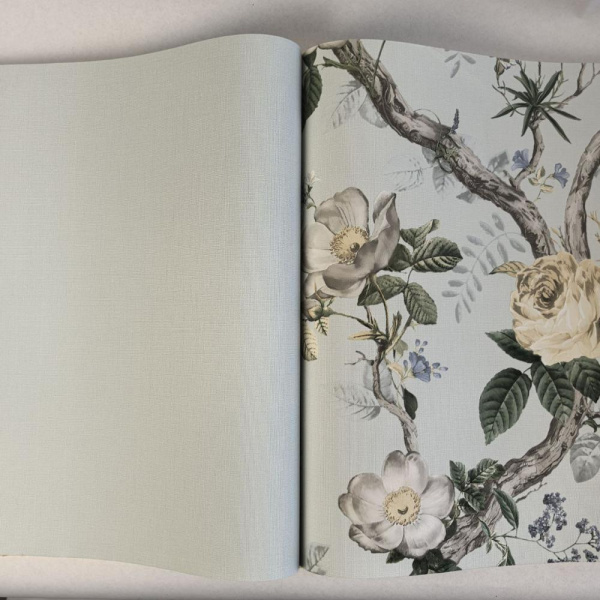 Andrea Rossi Cavolli 54420-8