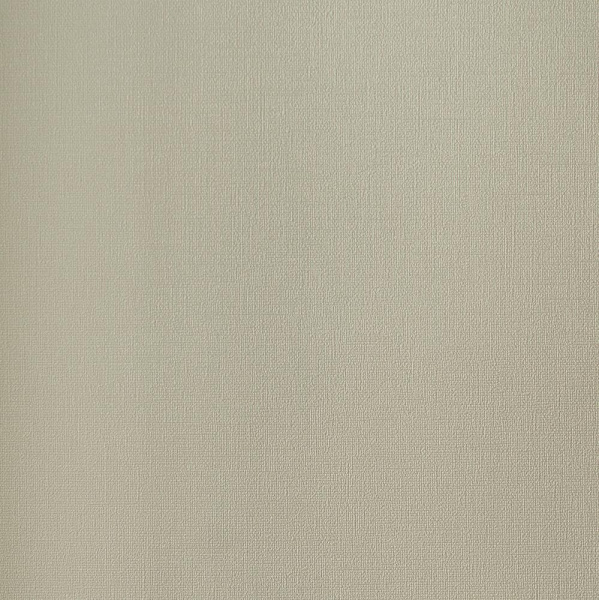 Andrea Rossi Palmaria 54463-6