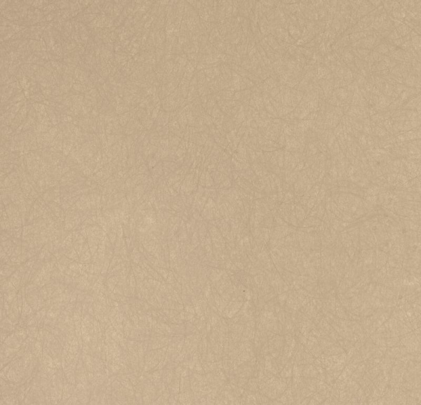 Обои Bernardo Bartalucci Legend 5068-41