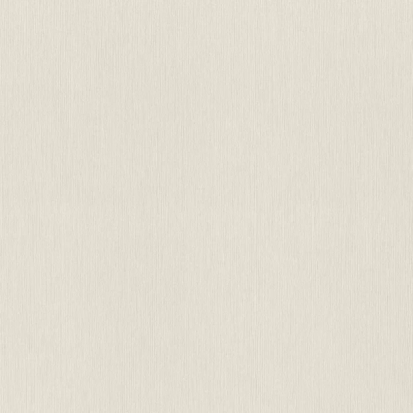 Rasch Wall Textures XL968521