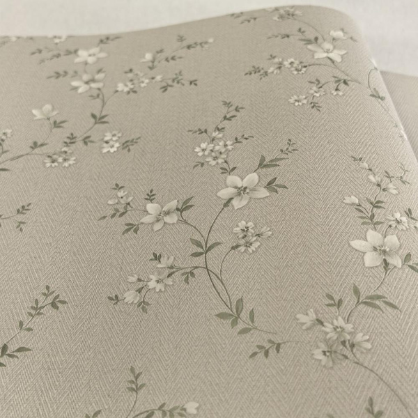 Alessandro Allori Bruni RBN 1001-2