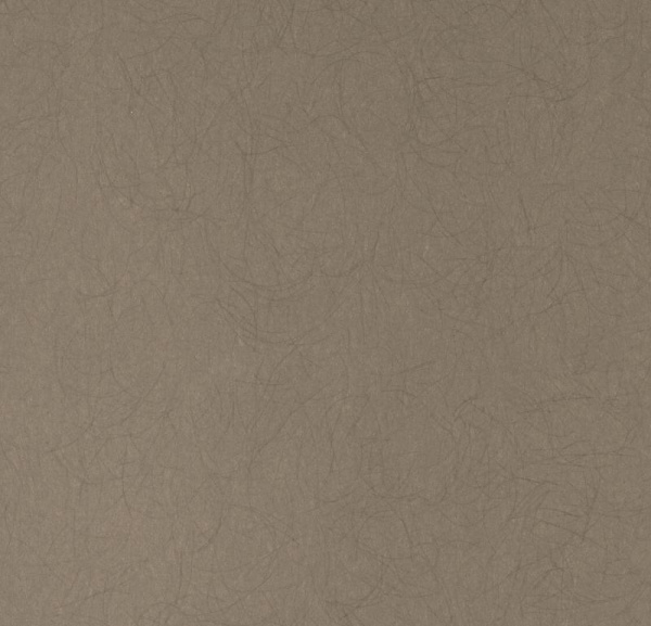 Обои Bernardo Bartalucci Legend 5068-26