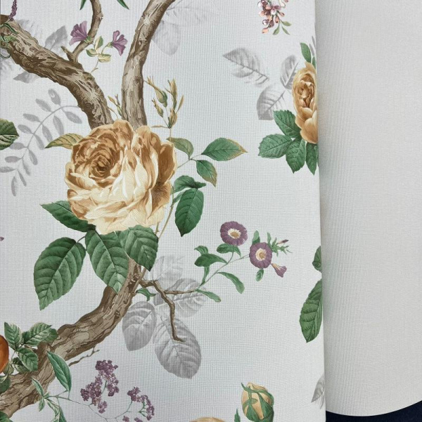 Andrea Rossi Cavolli 54421-6