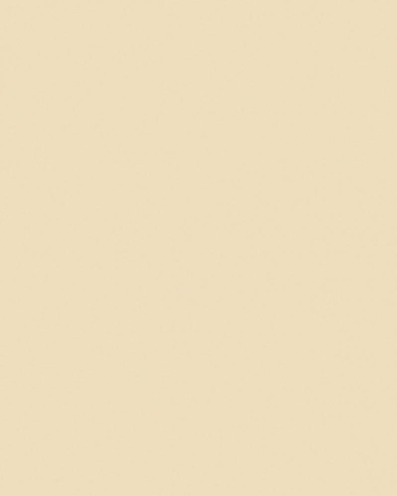 Wiganford All Time Trend Art WG 0232