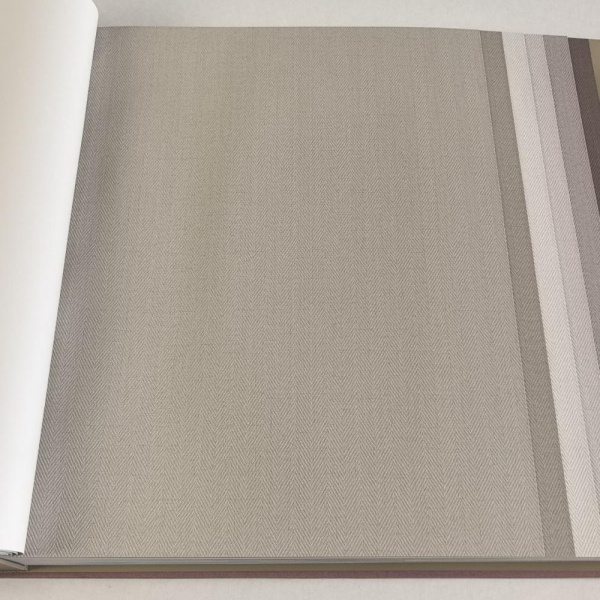 Alessandro Allori Bruni RBN 1002-24