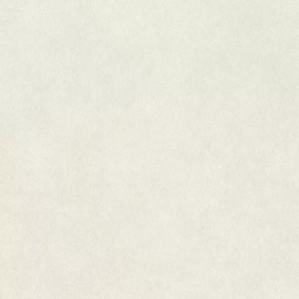 Rasch Wall Textures XL957327