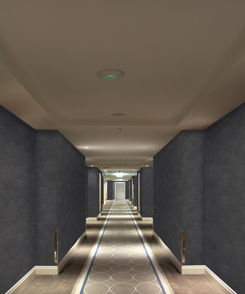 Marburg Solid Contract-Newton 33501